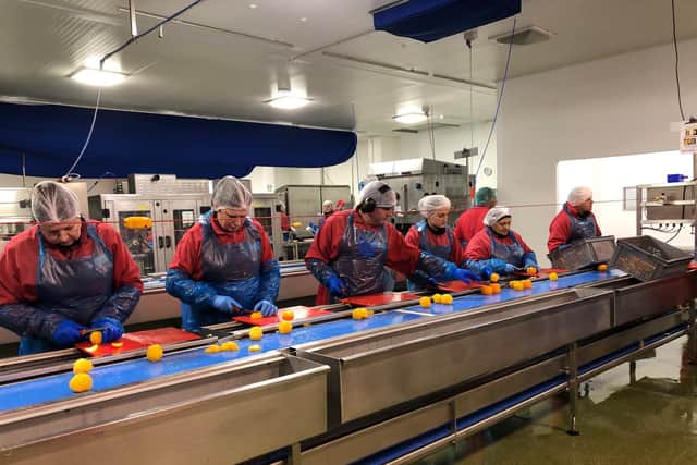 Orange segments being cut by factory workers at Blue Skies
