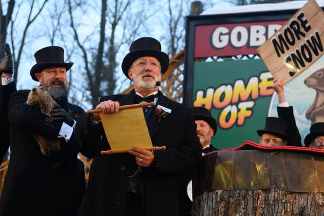 Groundhog Day has been immortalised on screen in the Bill Murray classic comedy - but what is the real life Groundhog Day tradition? (Credit: