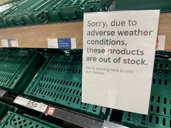 Asda, Morrisons and Waitrose are experiencing a salad shortage as a ‘cold snap’ is predicted