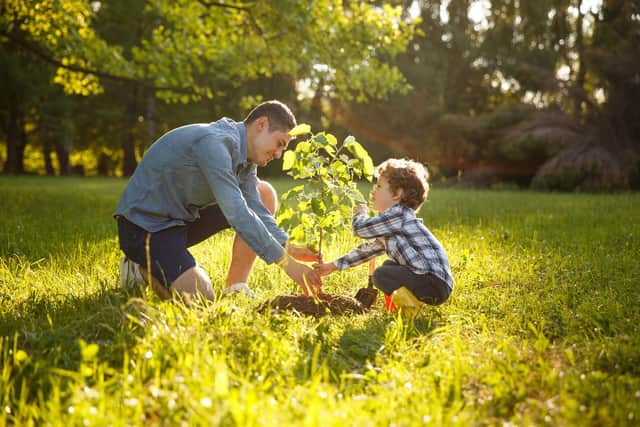 Plant a tree to help environment (photo: adobe.com)