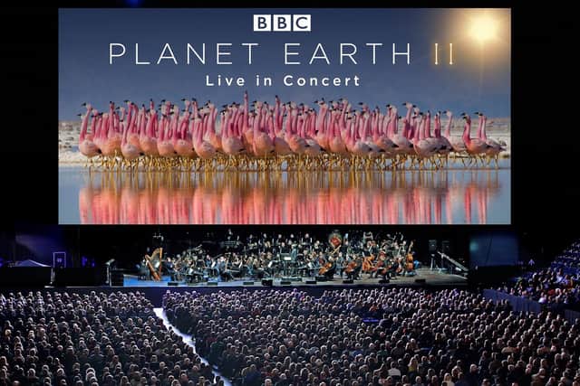 Planet Earth II Live on tour (photo: Justin Anderson Copyright BBC NHU 2016)