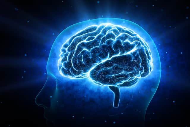 Scientists saw an increase in a certain type of brain wave in the 30 seconds before and after the patient’s final heartbeat (Photo: Adobe)