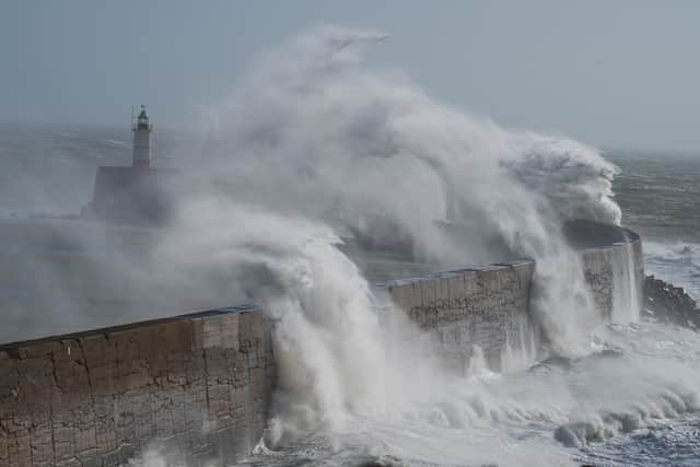 High winds expected to cause storm damage (photo: FitchyImages - stock.adobe.com)
