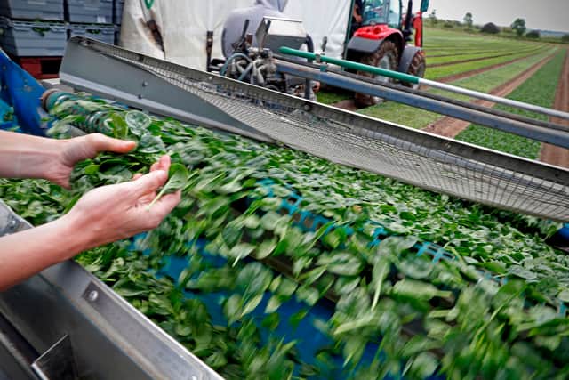 Food supply workers at up to 500 critical sites could be exempt from quarantine rules (Getty Images)