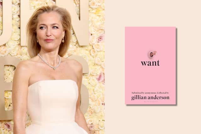 Gillian Anderson’s sex book ‘Want is now on sale with 58% off the original price on Amazon