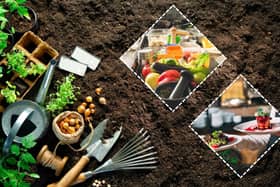 There are dozens of fruits and veggies in season this month