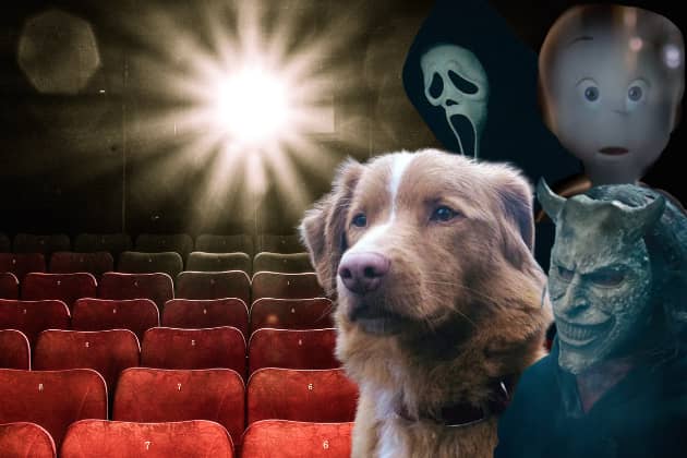 What better way to avoid the door knockers this Halloween than a trip to your local cinema to catch one of these frighteningly good releases this season?