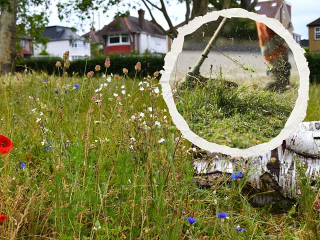 The research challenged a long-held assumption that promoting ecological benefits was enough to win over the public