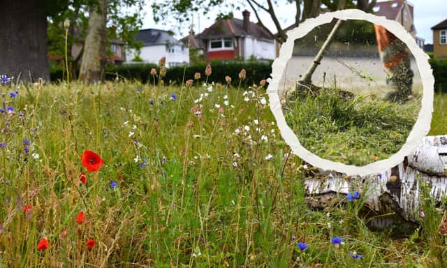 The research challenged a long-held assumption that promoting ecological benefits was enough to win over the public