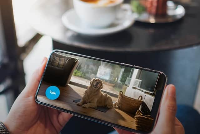 The camera pipes images straight to your smartphone - and alerts you if it sees movement