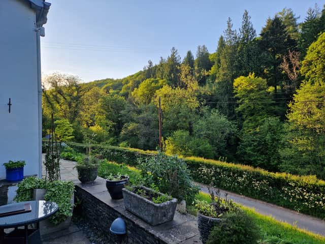 Golden hour at the Whitebrook.