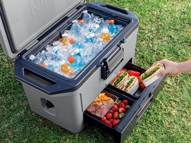 The Ninja FrostVault 47L cool box has a separate Dry Zone drawer and can keep ice for up to five days