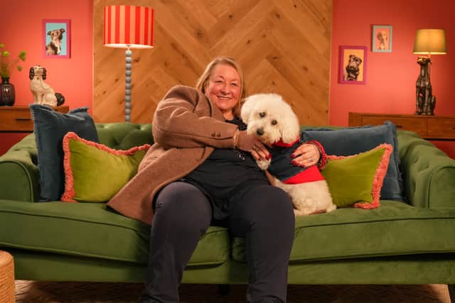 Jan and her blind dog Teddy meet with a nervous dog, will it be a perfect match ?