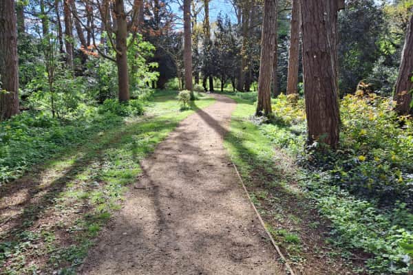 Woodland Area at Cynthia Spencer Hospice