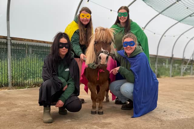 Families are invited to 'suit up' for a SUPER Half Term at Mini Meadows Farm!
