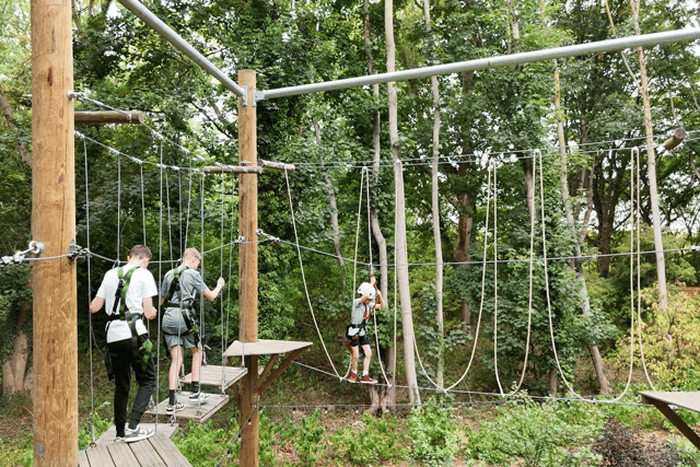 Enjoy our High Ropes & zip line!