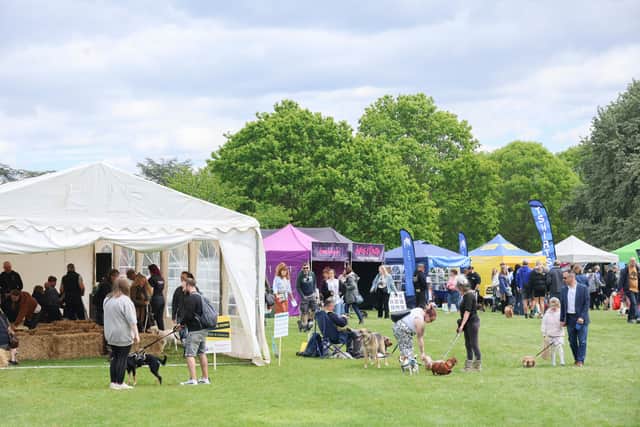 Talks from pet professionals at Woof Wag Festival