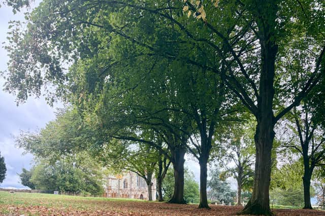 Early autumn view of St Marys Church at Canons Ashby