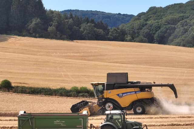 Harvest 2026