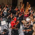 Albion Orchestra are one of the ensembles who will be performing