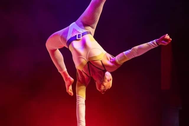 Calipso's Circus