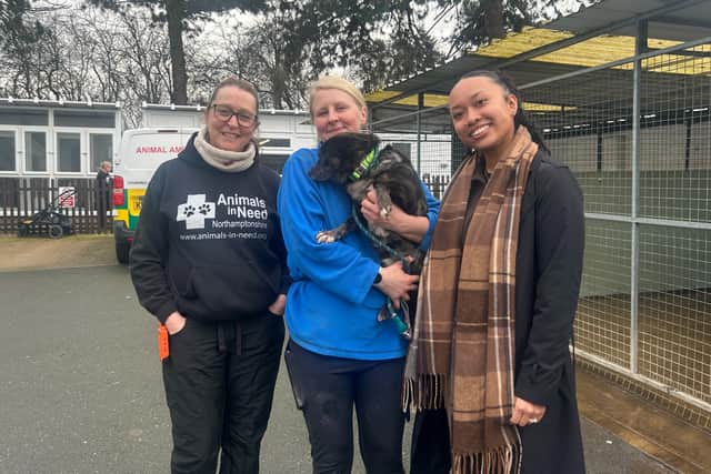 Commsave visit Animals in Need