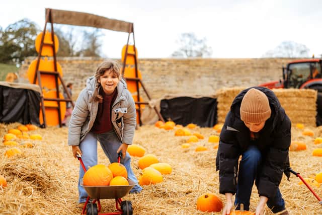 Pumpkin token included