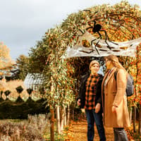 Discover The Duke's Magical Maze & Menagerie at Boughton House near Kettering this Halloween