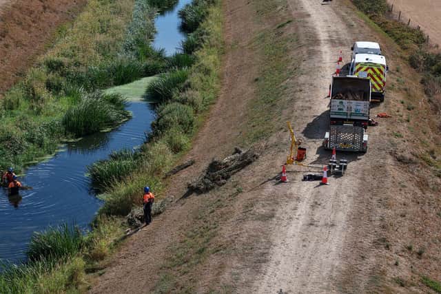 VMS has restored more natural processes along Maxey Cut in Cambridgeshire, an artificial flood relief channel
