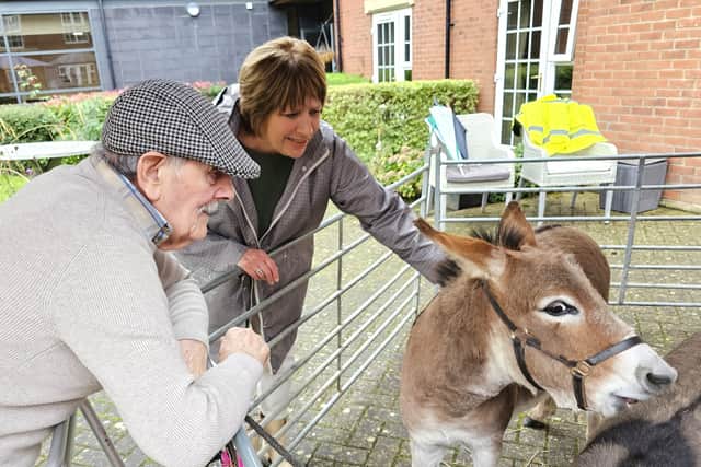 Magical Mini Donkeys visit Elm Bank Care Home in Kettering.