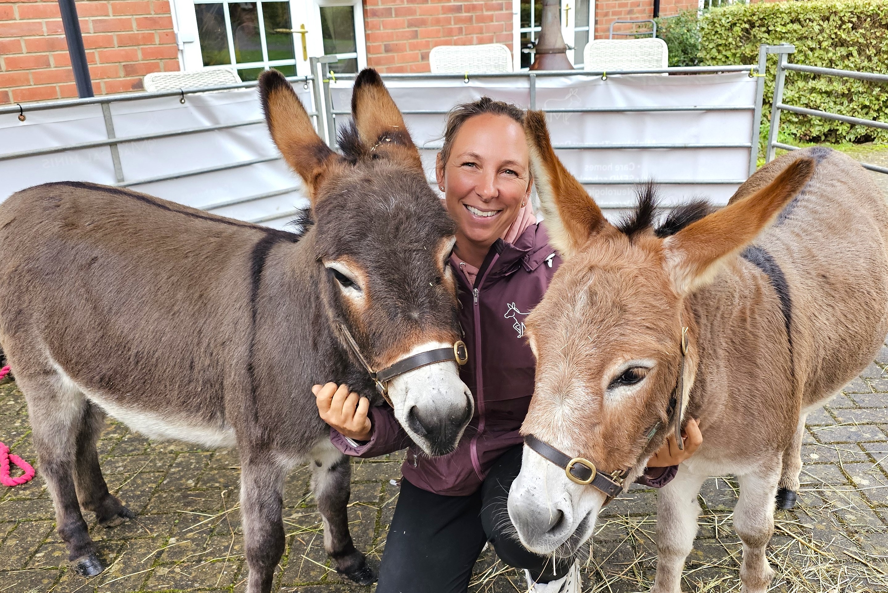Elm Farm Mini donkeys bring magic to Elm Bank care home