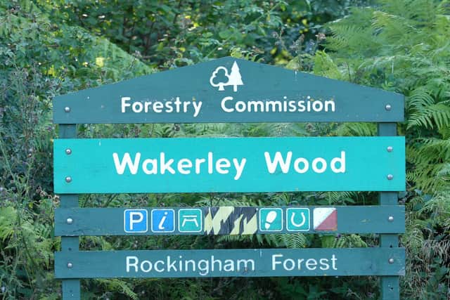 Wakerley Wood.