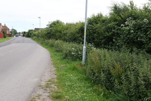 Grass verge file pic