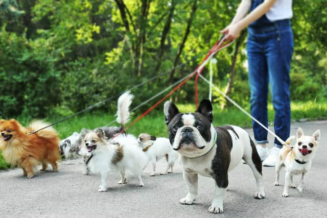 Four dogs have been taken ill and one was put down after suspected poisoning