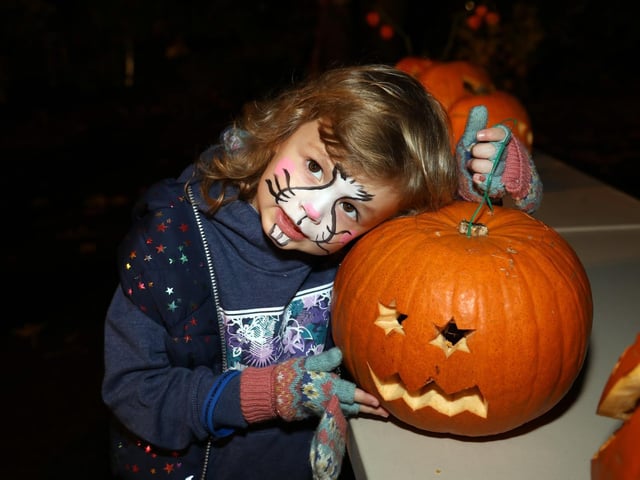One young rabbit brought her pumpkin to last nights event