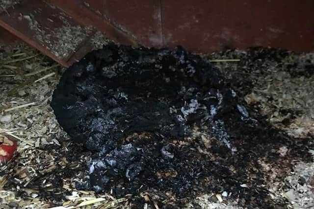 The cage has been damaged and the guinea pig bed has been burnt
