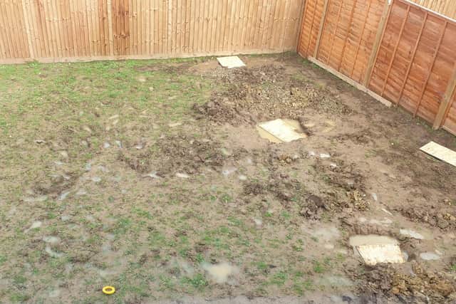 The couple's dog almost drowned in one of these deep trenches not fenced off in their swamp-like garden. The holes were not covered with chipboard until after the incident.