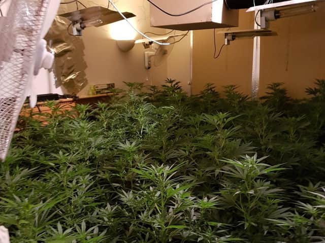 Police found several rooms of mature cannabis plants in Rushden