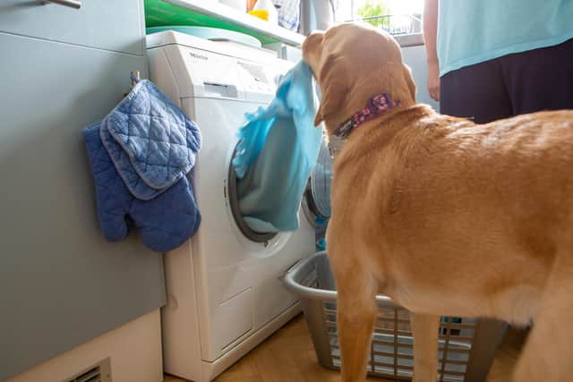 Luna taking out the laundry from the washing machine