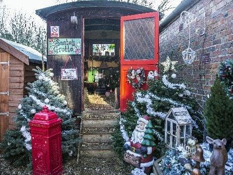 Welford Christmas Tree Farm. Pictures by Kirsty Edmonds.