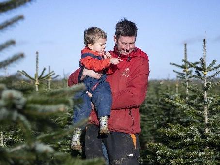 Welford Christmas Tree Farm. Pictures by Kirsty Edmonds.