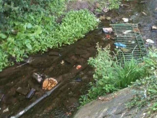 Archive pic of rubbish in the Castle Fields brook.