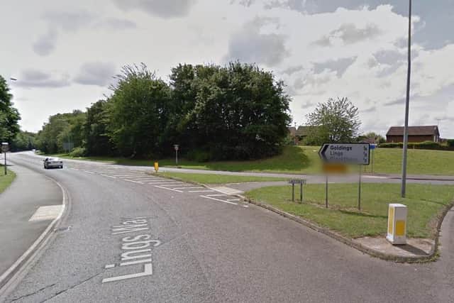 Brett was walking along Lings Way, near the roundabout, when the incident took place. File picture: Google Maps.