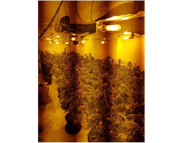 Police found a cannabis factory in Higham Ferrers