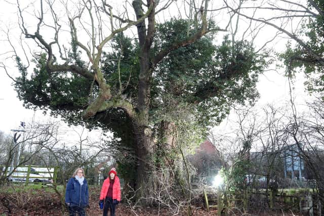 Save Our Oak campaigners Justina Bryan and Vanessa Penman with the Three Oak tree