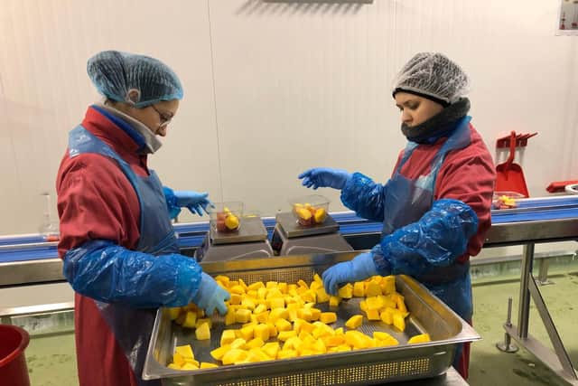 Mango from Ghana being packed for Waitrose customers