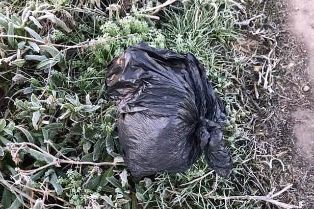 Margot was heard crying from a ditch, where she'd been dumped in two tied up bin bags