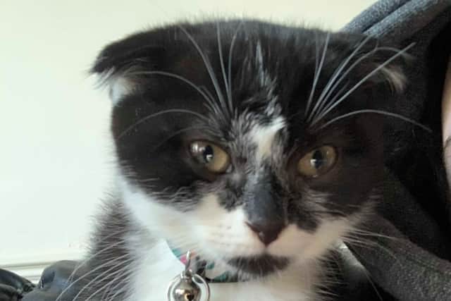 Margot is now safely back at home