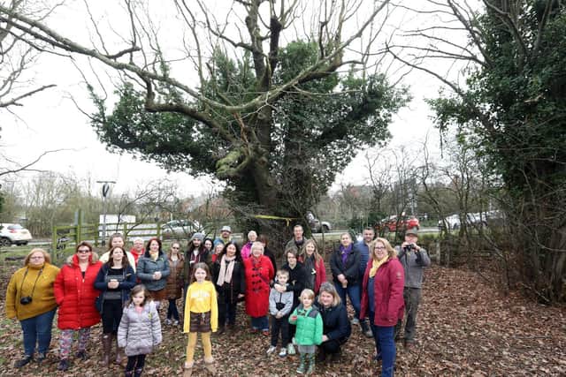 Save Our Oak campaigners