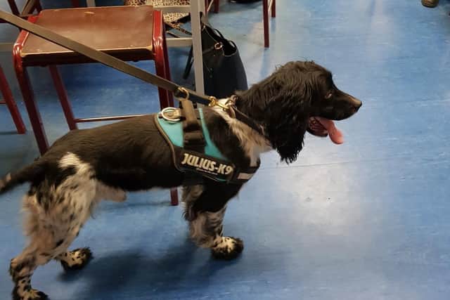 One of the specialist trained police dogs